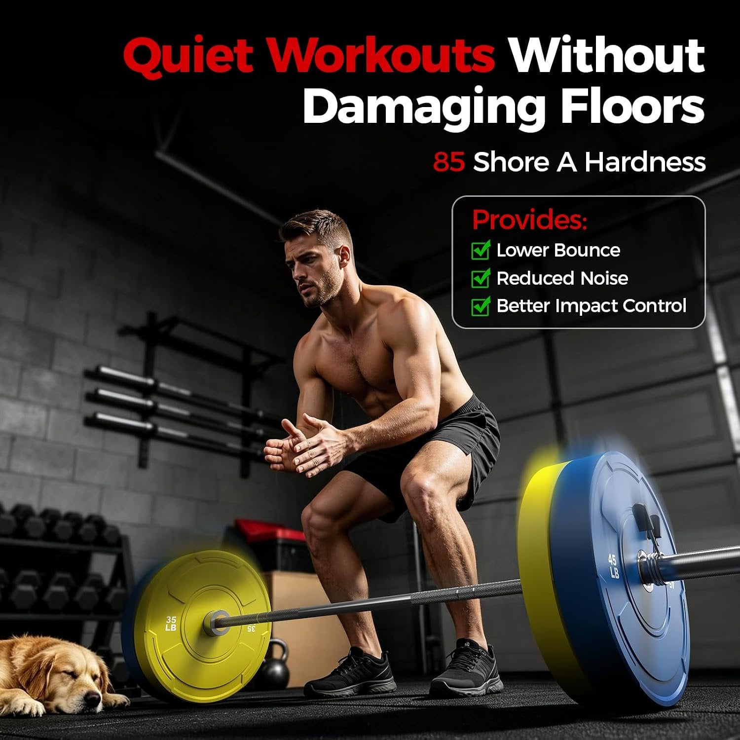 2-Inch Olympic Bumper Plates Set, 2pcs-45lb Colored Virgin Rubber Weight Barbell Plates for Strength Training, Home Gym Weightlifting